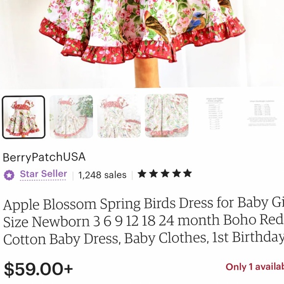 Kid’s dress bundle 18m 2T - Picture 7 of 12